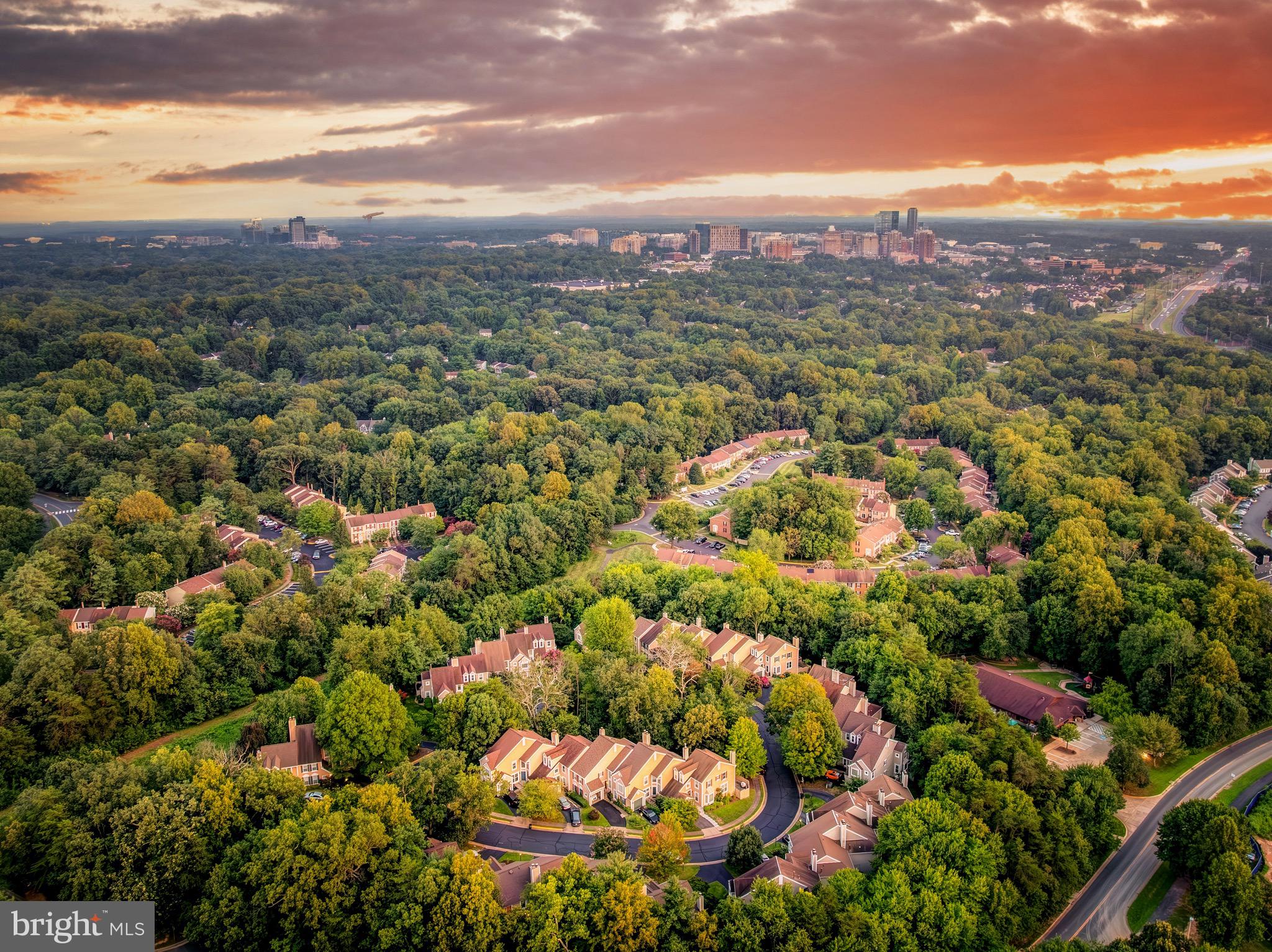 1502 Deer Point Way Reston, VA 20194 - Photo 49 of 50 Arbor Woods Neighborhood Twilight