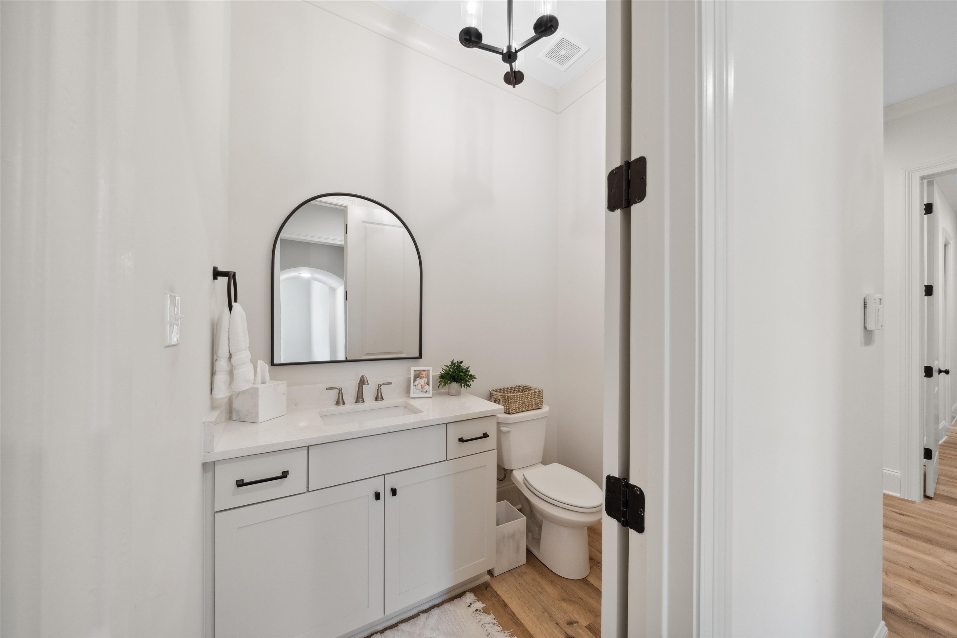 220 Mary Taylor Way Piperton, TN 38017 - Photo 28 of 36 Bathroom featuring light wood-style flooring, vanity, and crown molding