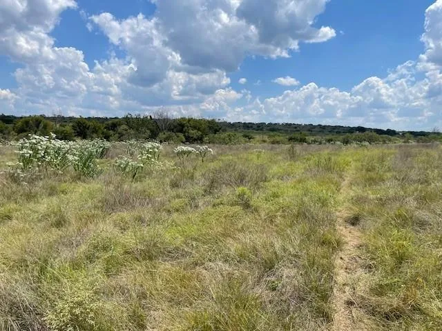 a view of a lake view with a garden