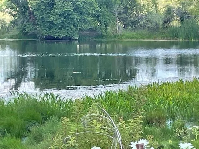 $142,500 | 217 Park Meadows Drive, Gustine, TX 76455