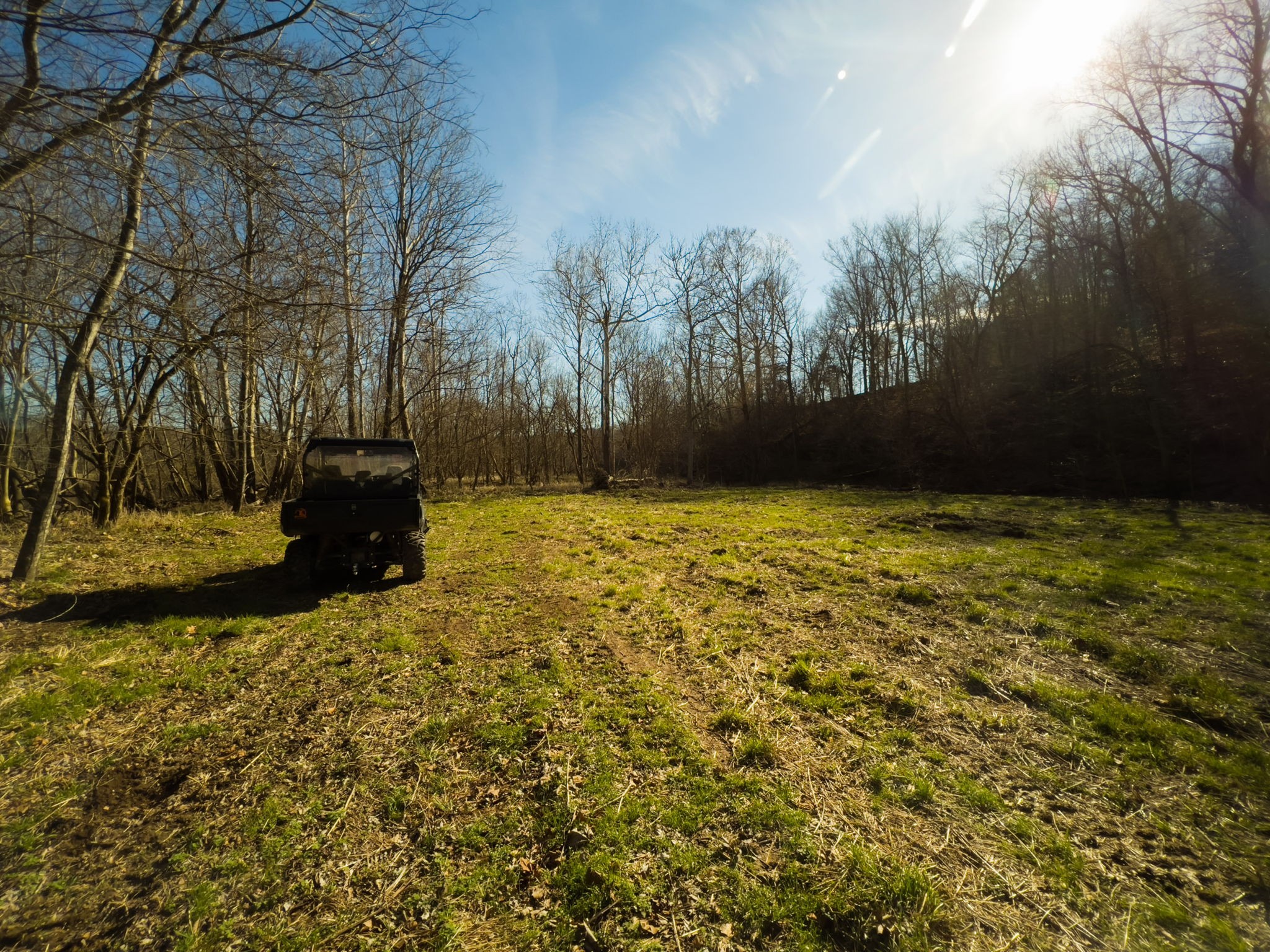 7925 Tom Patton Road Lyles, TN 37098 - Photo 27 of 68 a view of outdoor space with trees