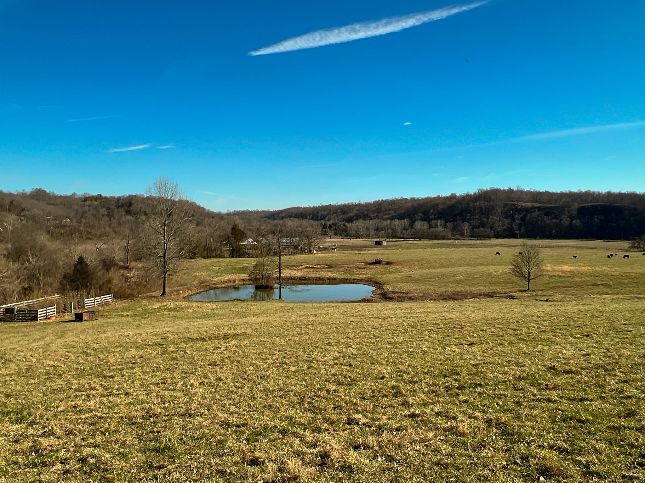 7925 Tom Patton Road Lyles, TN 37098 - Photo 3 of 68 a view of a lake view