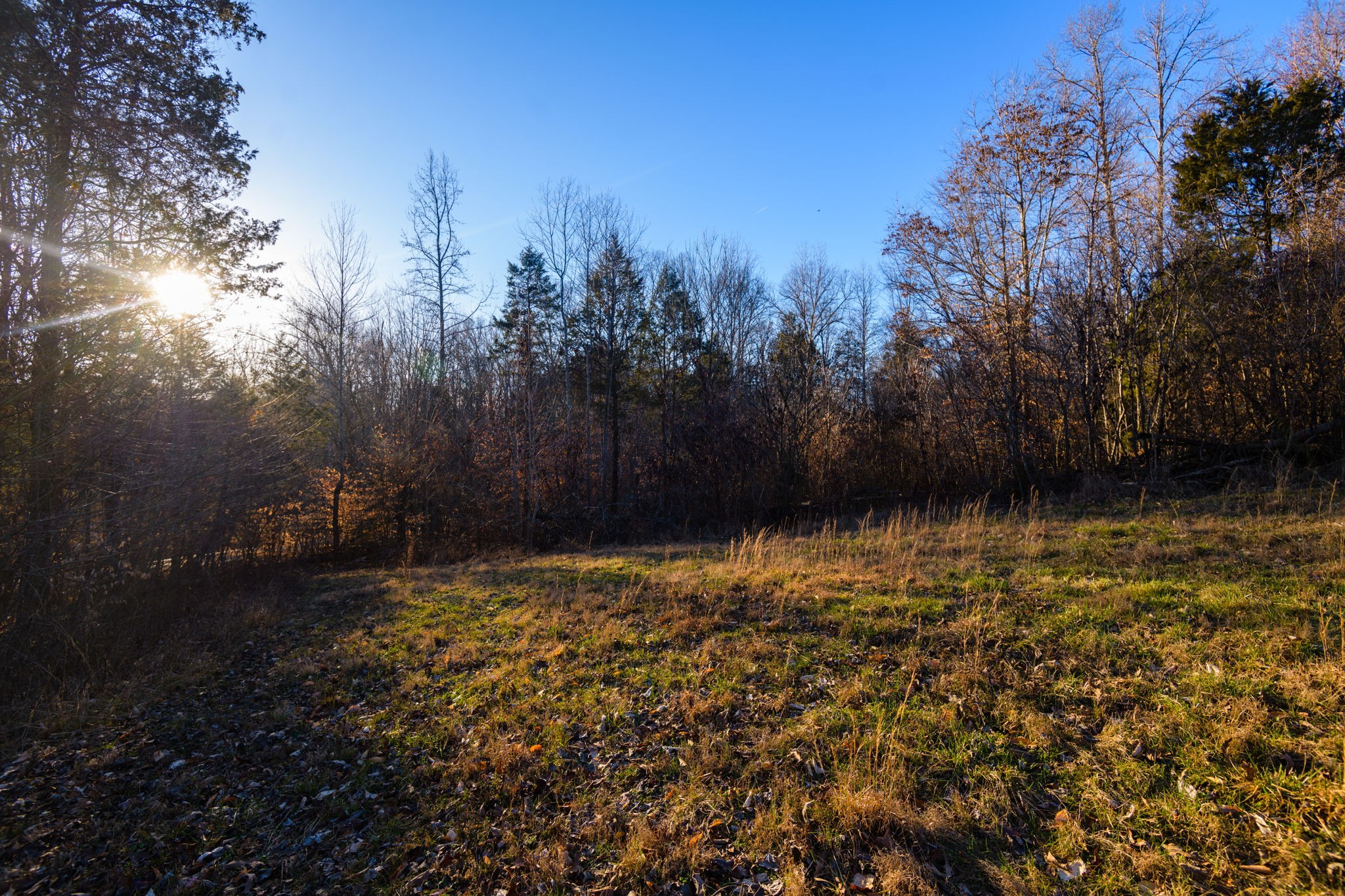 7925 Tom Patton Road Lyles, TN 37098 - Photo 31 of 68