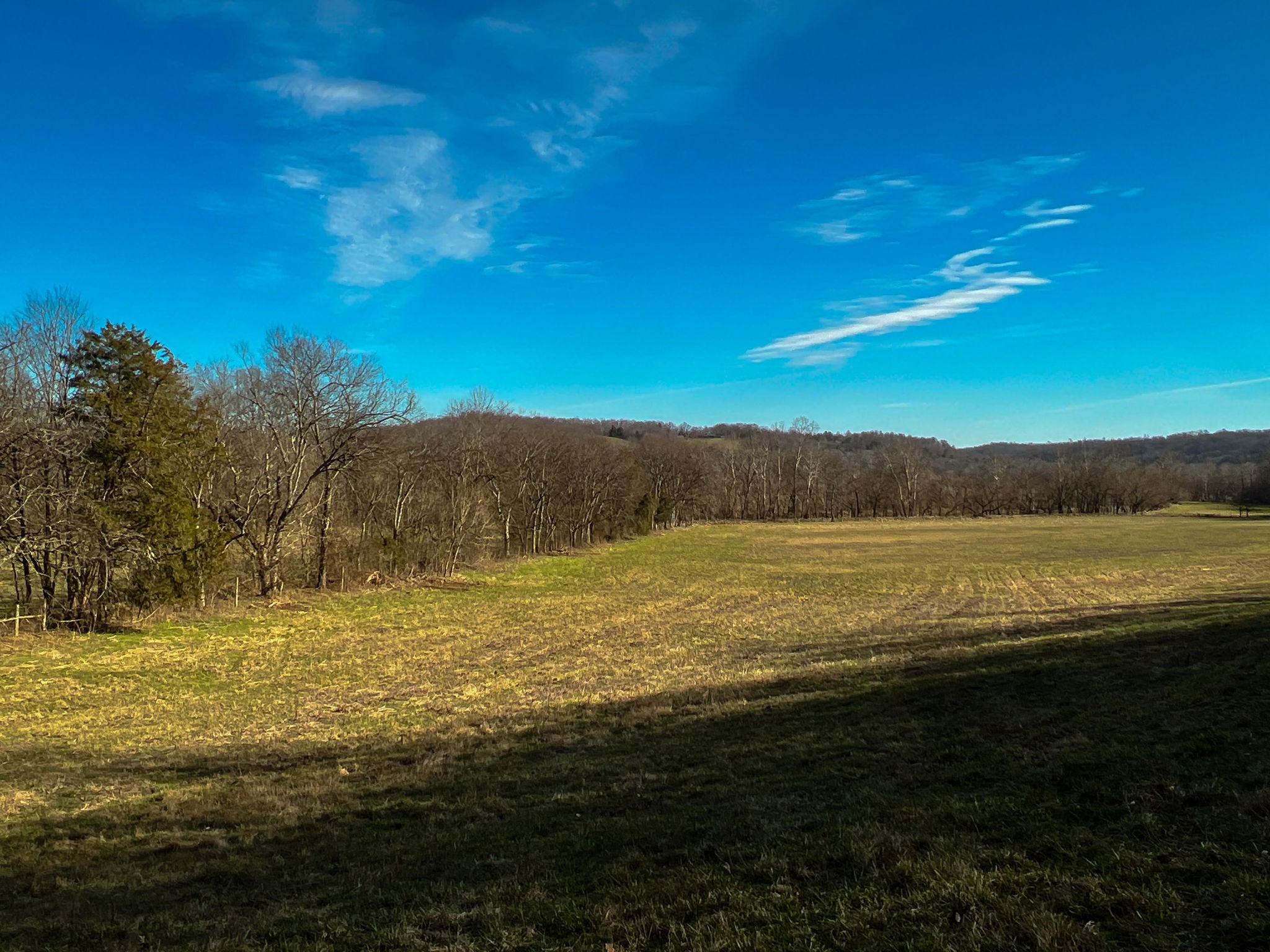 7925 Tom Patton Road Lyles, TN 37098 - Photo 33 of 68 a view of an ocean and a mountain