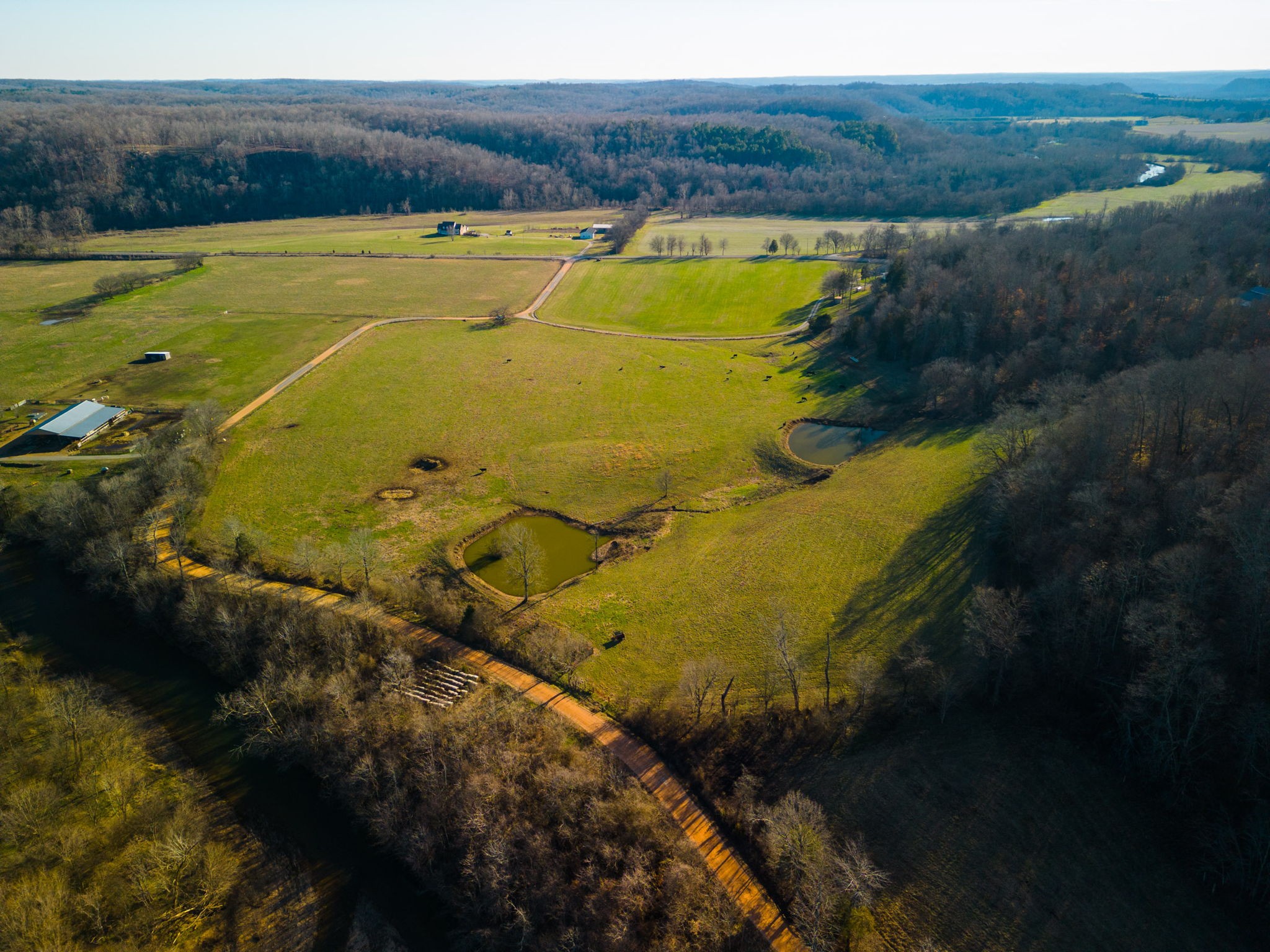 7925 Tom Patton Road Lyles, TN 37098 - Photo 4 of 68