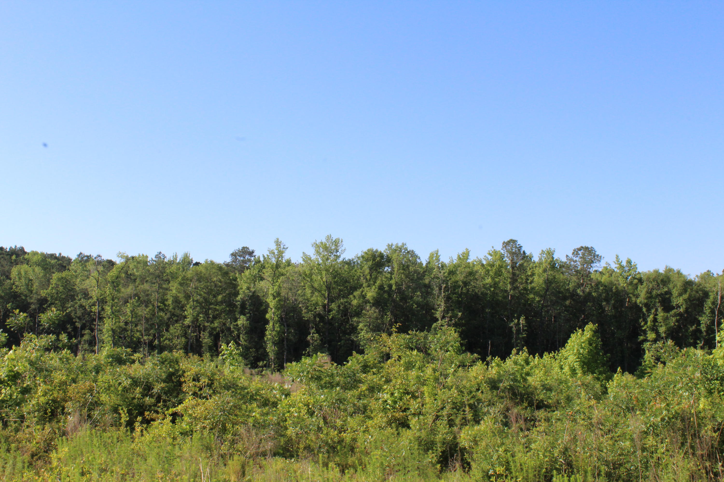 32-ac Boy Scout Road DeFuniak Springs, FL 32435 - Photo 11 of 13 Gallery Image 11