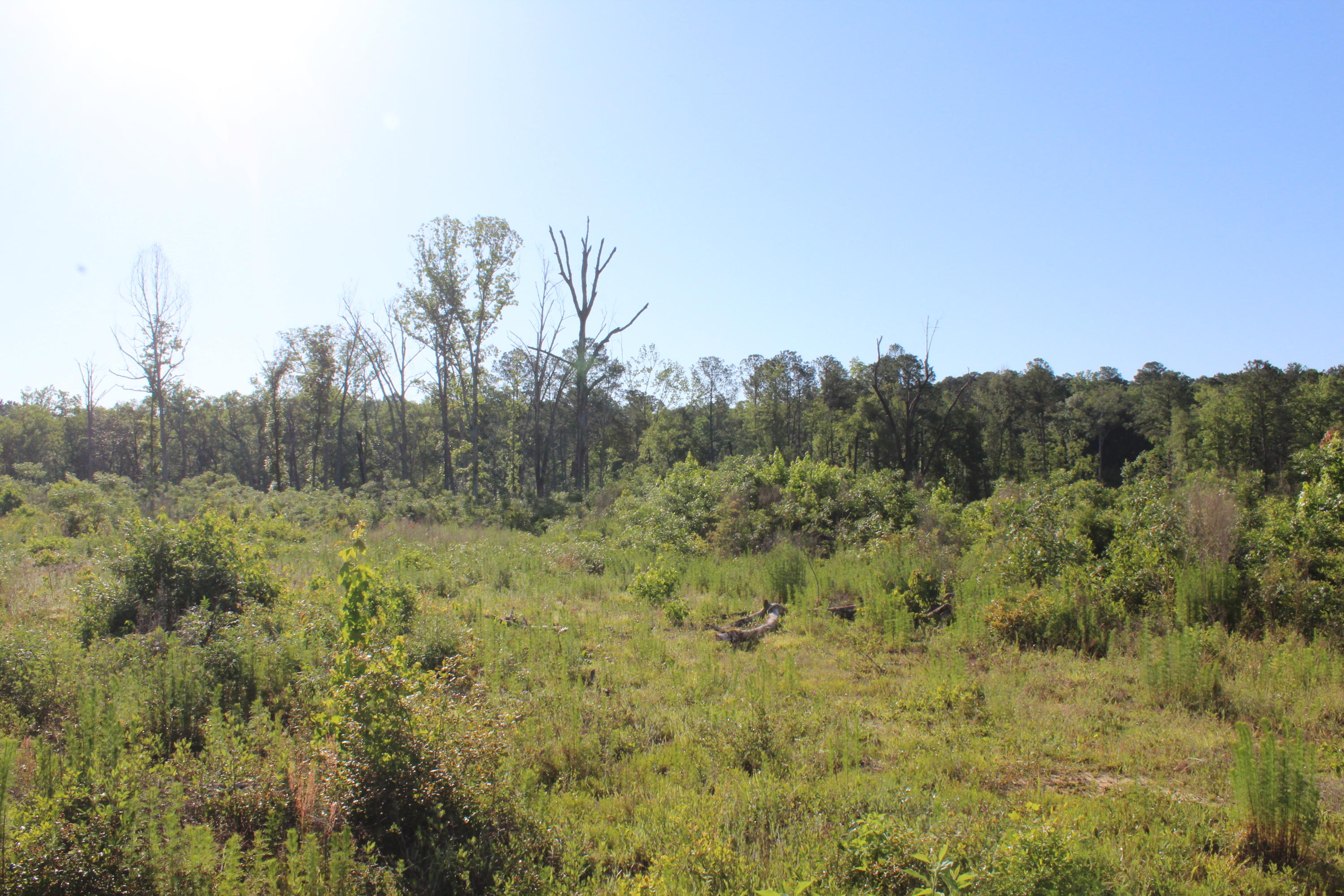 32-ac Boy Scout Road DeFuniak Springs, FL 32435 - Photo 12 of 13 Gallery Image 12