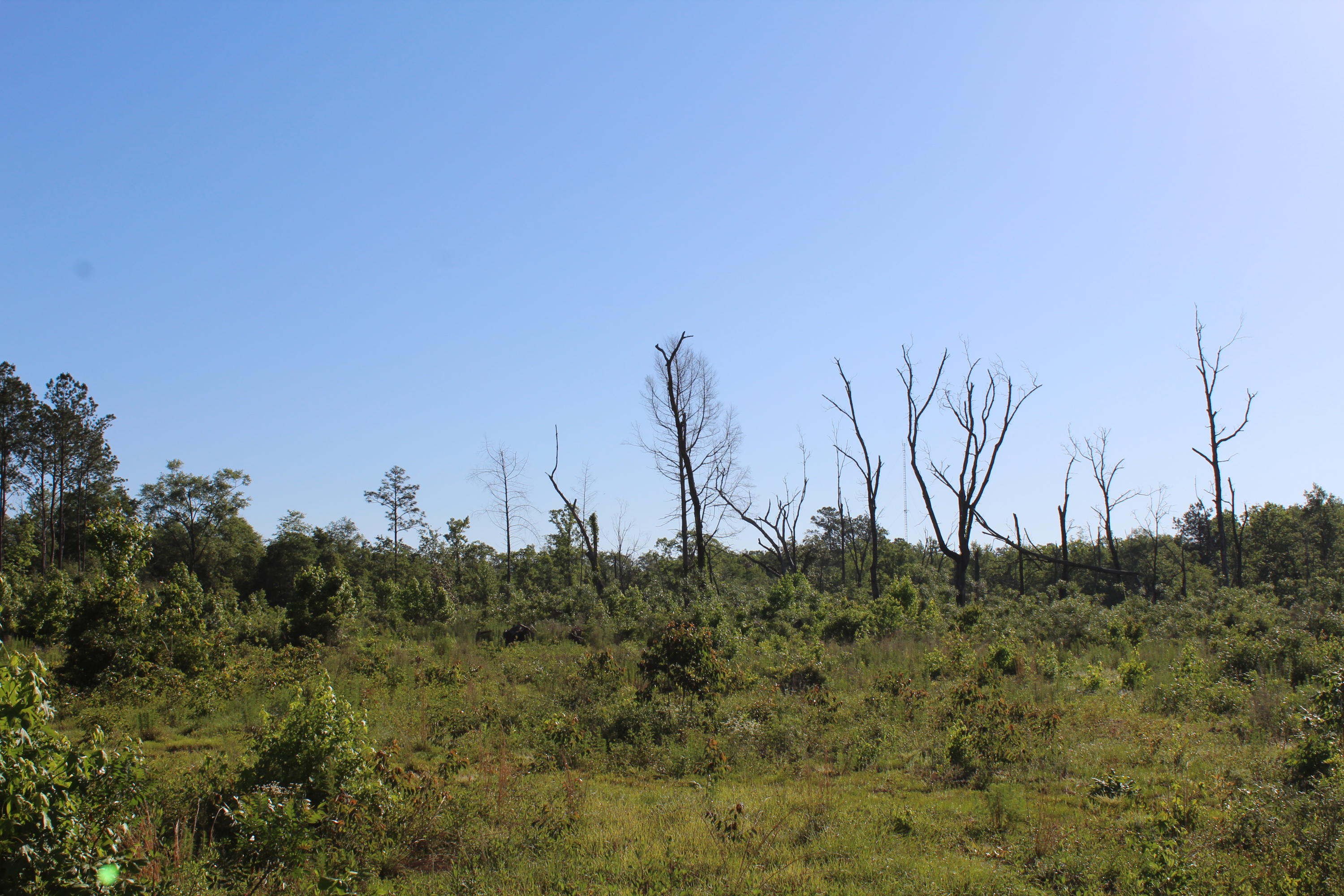 32-ac Boy Scout Road DeFuniak Springs, FL 32435 - Photo 13 of 13 Gallery Image 13
