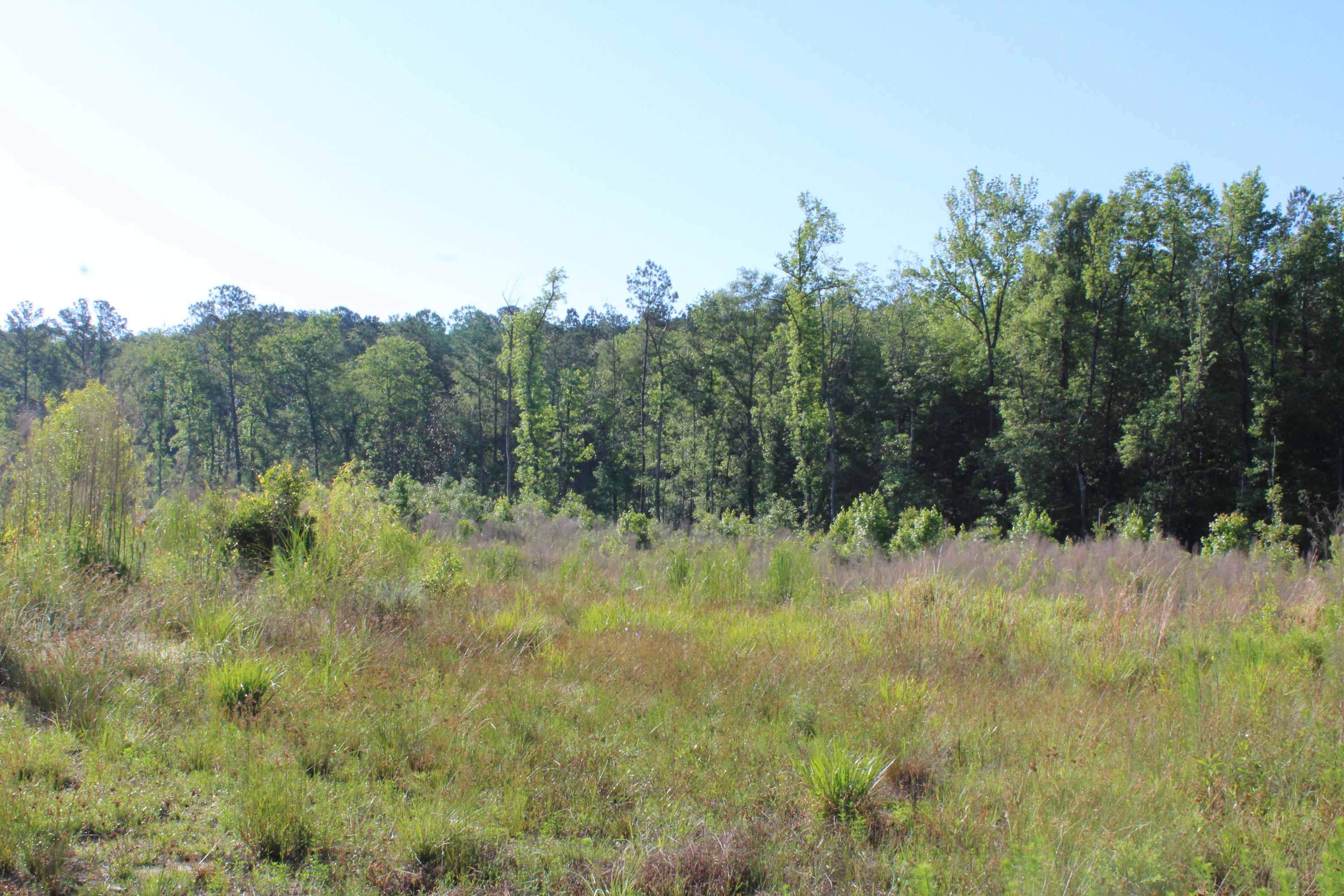 32-ac Boy Scout Road DeFuniak Springs, FL 32435 - Photo 4 of 13 Gallery Image 4