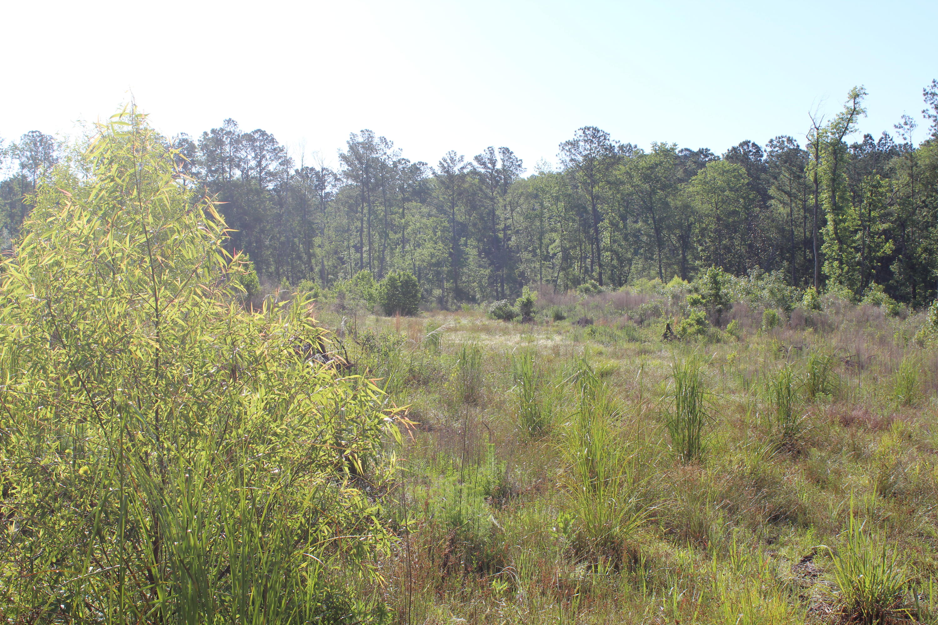 32-ac Boy Scout Road DeFuniak Springs, FL 32435 - Photo 5 of 13 Gallery Image 5