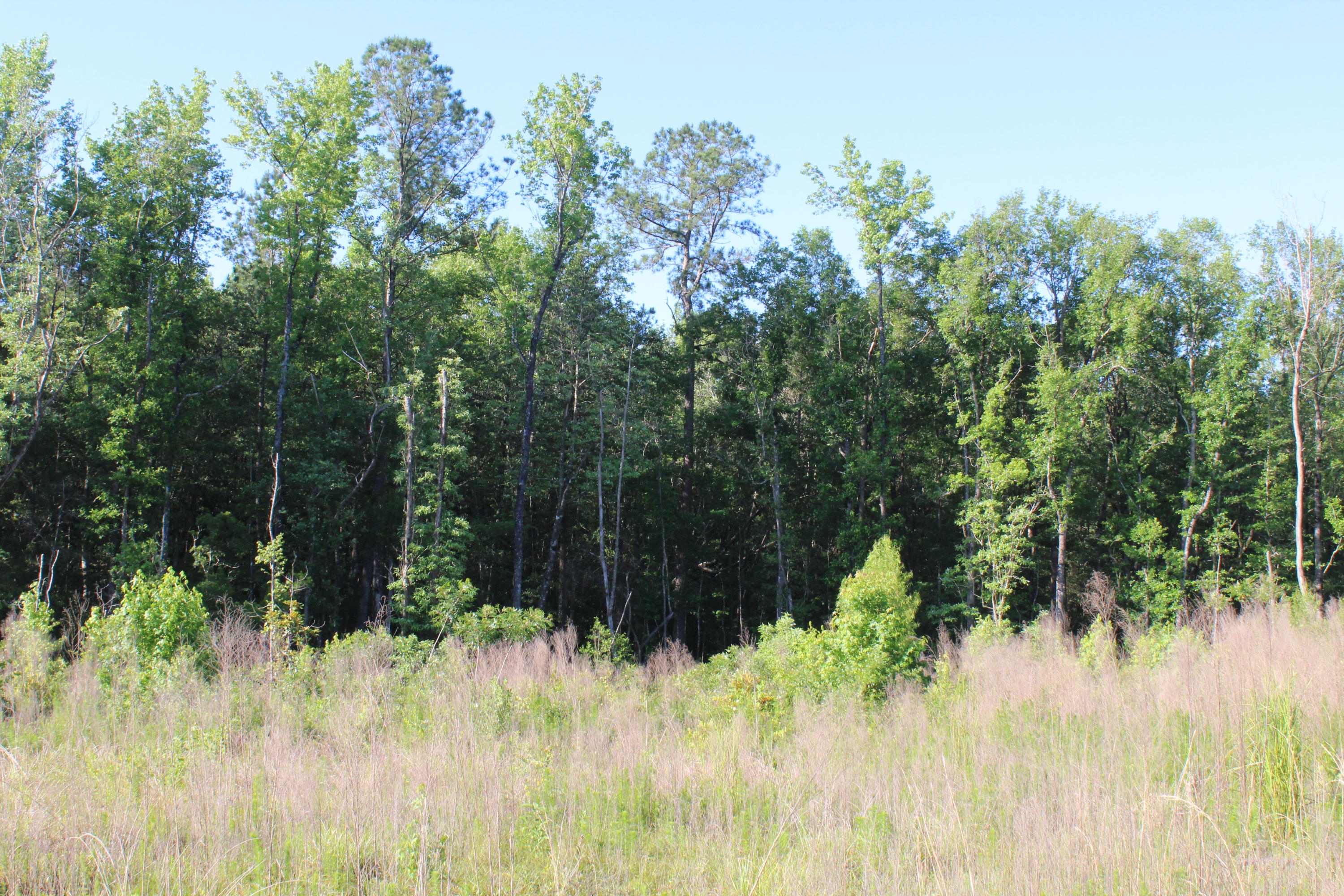 32-ac Boy Scout Road DeFuniak Springs, FL 32435 - Photo 6 of 13 Gallery Image 6