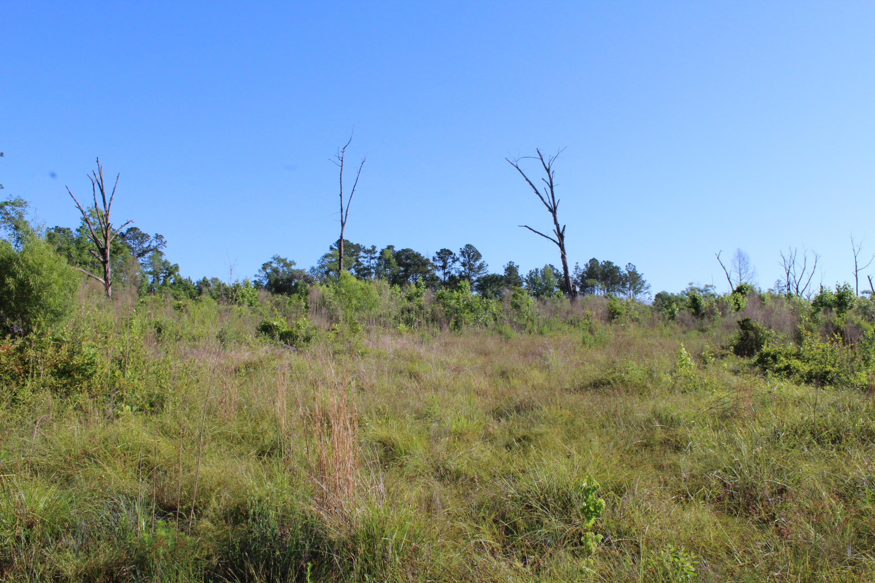 32-ac Boy Scout Road DeFuniak Springs, FL 32435 - Photo 7 of 13 Gallery Image 7