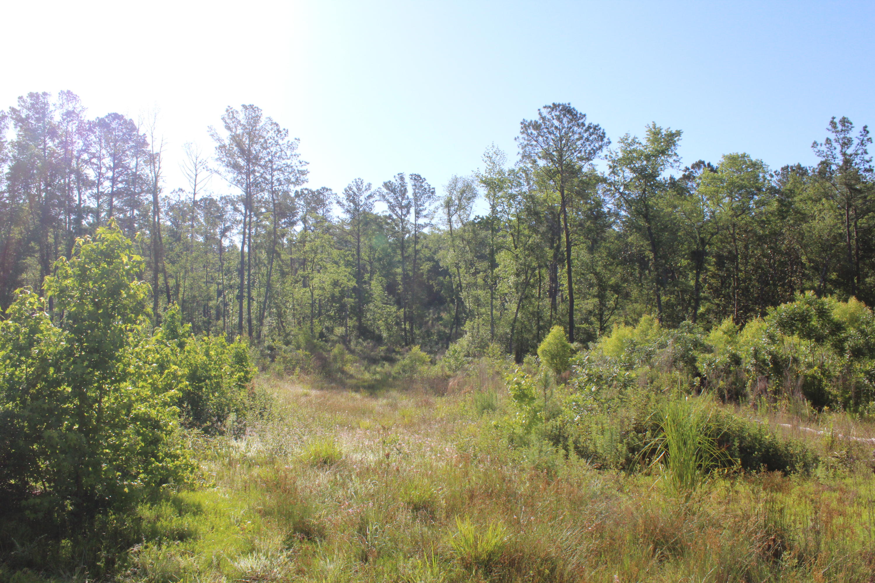 32-ac Boy Scout Road DeFuniak Springs, FL 32435 - Photo 8 of 13 Gallery Image 8