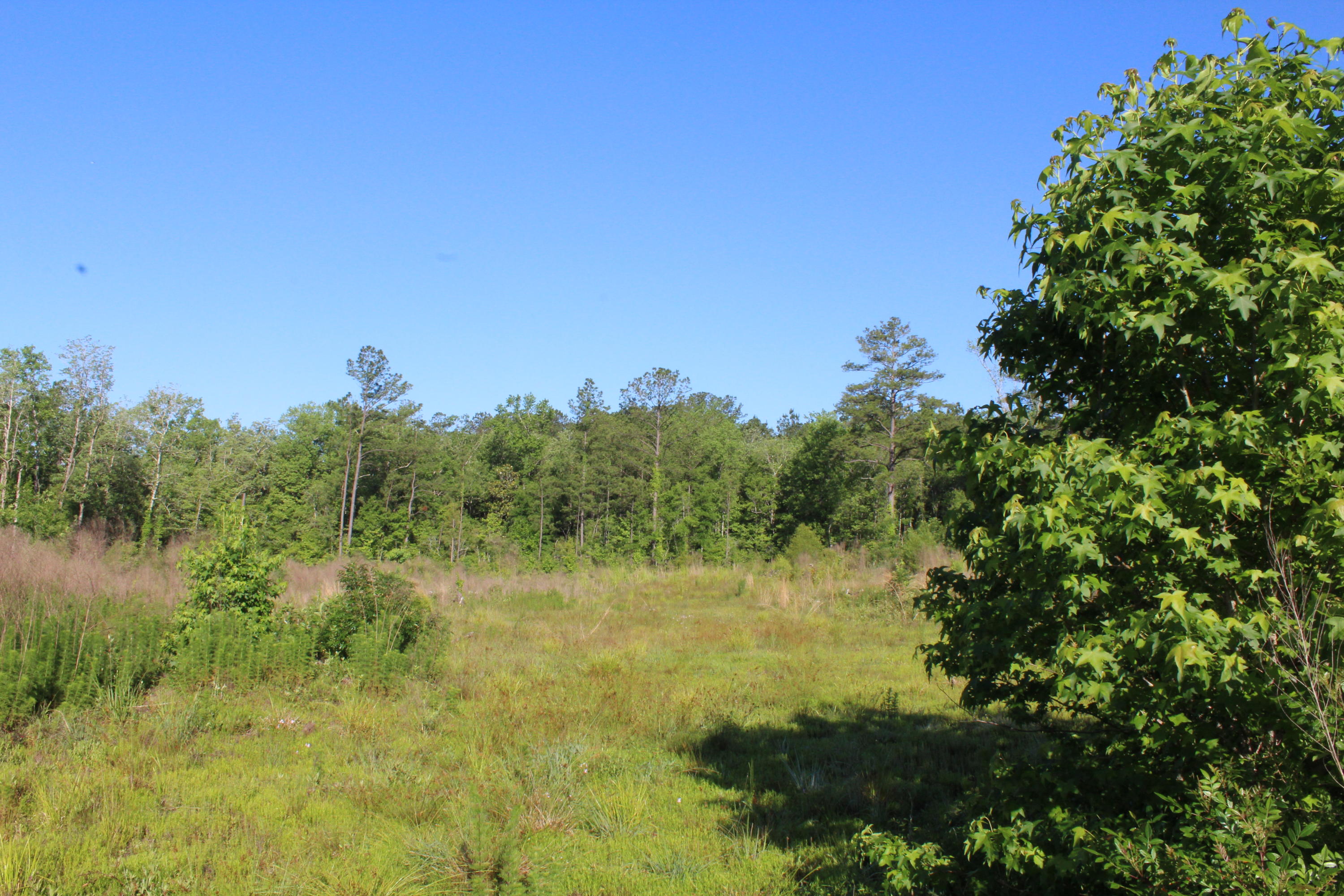 32-ac Boy Scout Road DeFuniak Springs, FL 32435 - Photo 9 of 13 Gallery Image 9