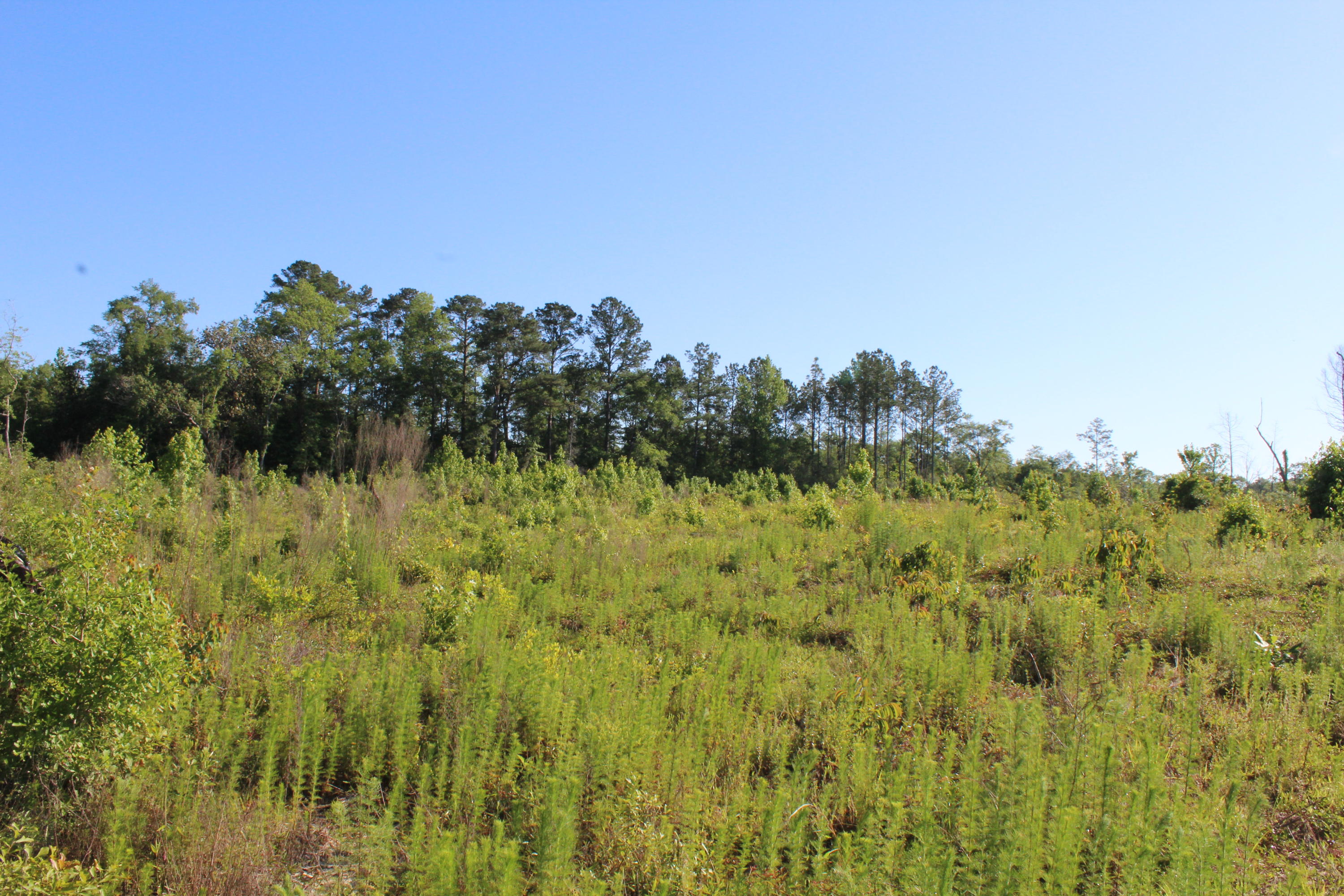 32-ac Boy Scout Road DeFuniak Springs, FL 32435 - Photo 10 of 13 Gallery Image 10