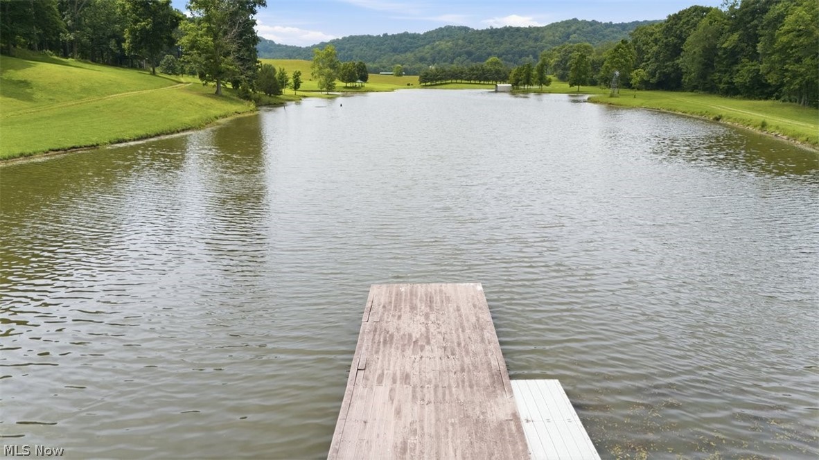 1340 Fish Hatchery Road Elizabeth, WV 26143 - Photo 42 of 50 Large Pond behind the main house
