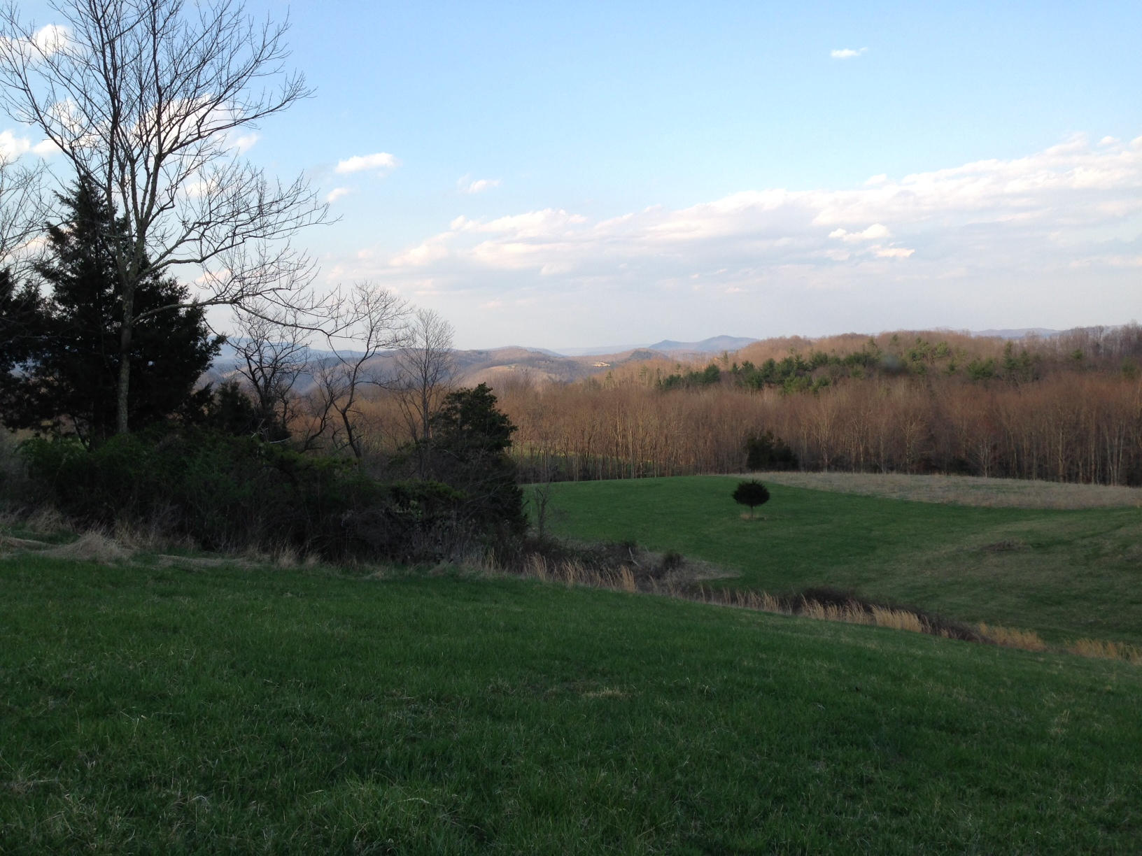 Dillon Road Forest Hill, WV 24935 - Photo 58 of 93 Gallery Image 58