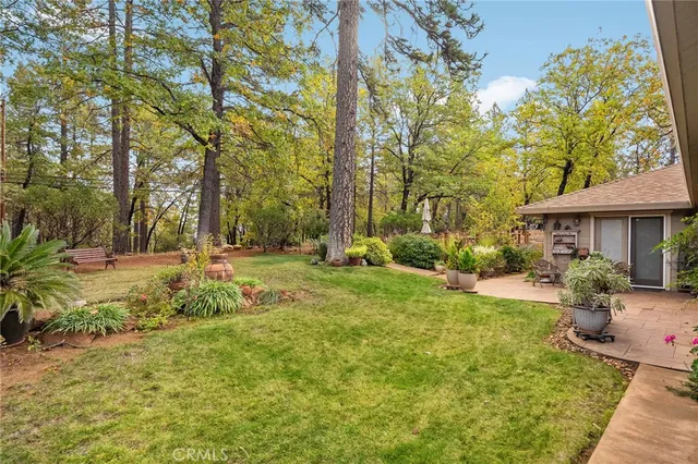 a view of backyard with tree