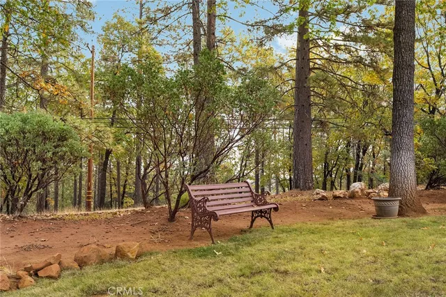 a view of a yard with plants and trees