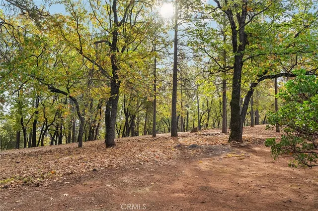 $549,000 | 15004 Woodland Park Drive, Forest Ranch, CA 95942