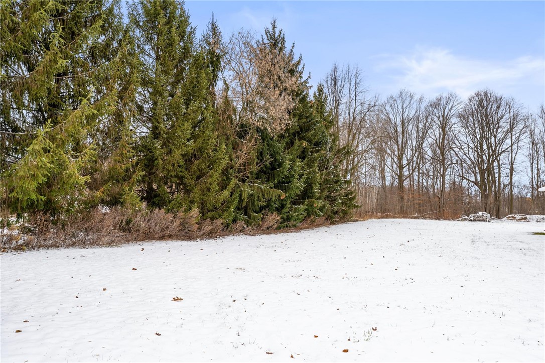 3237 Fowlerville Road Caledonia, NY 14423 - Photo 12 of 32