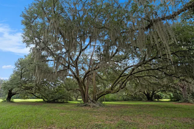 $645,000 | 7817 Little Britton Road, Unit LOT C1, Meggett, SC 29449