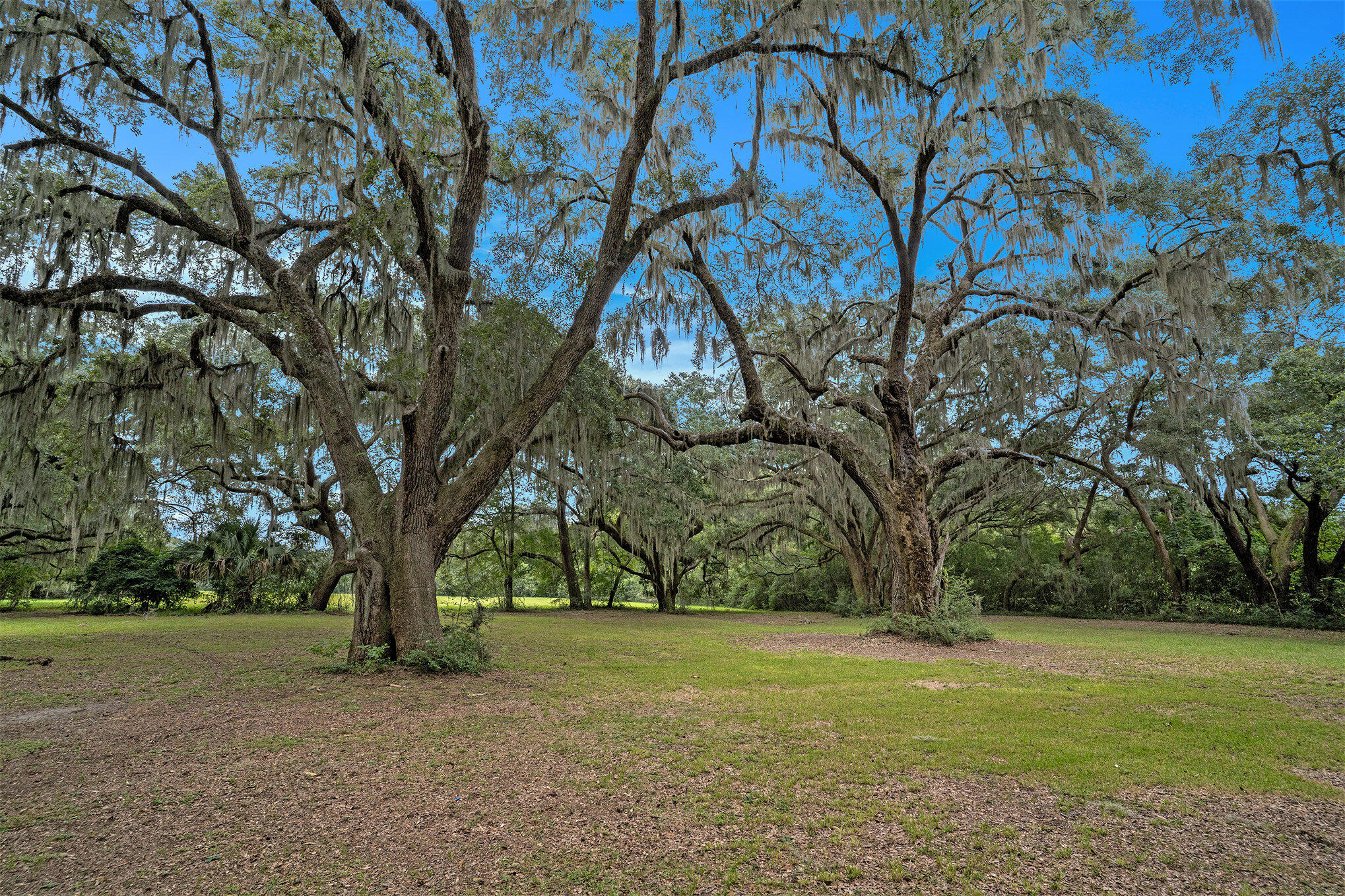 7817 Little Britton Road, Unit LOT C1 Meggett, SC 29449 - Photo 13 of 19 014_dsc05107_473