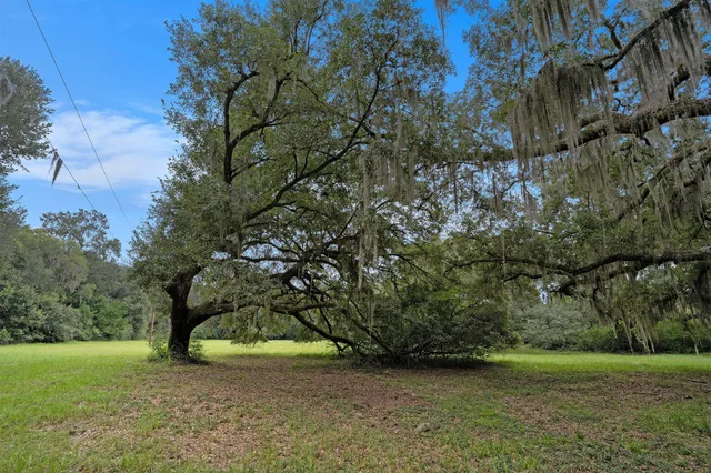 $645,000 | 7817 Little Britton Road, Unit LOT C1, Meggett, SC 29449