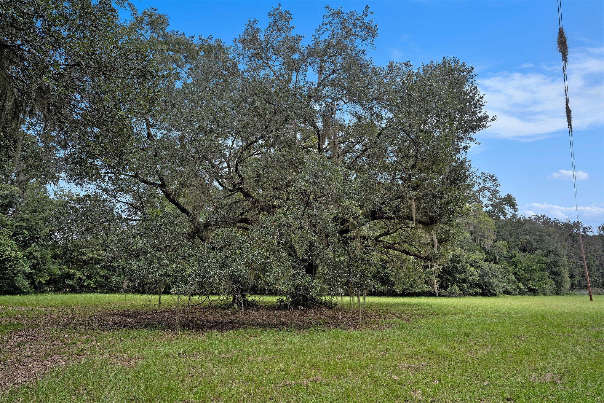7817 Little Britton Road, Unit LOT C1 Meggett, SC 29449 - Photo 17 of 19 005_dsc05098_264