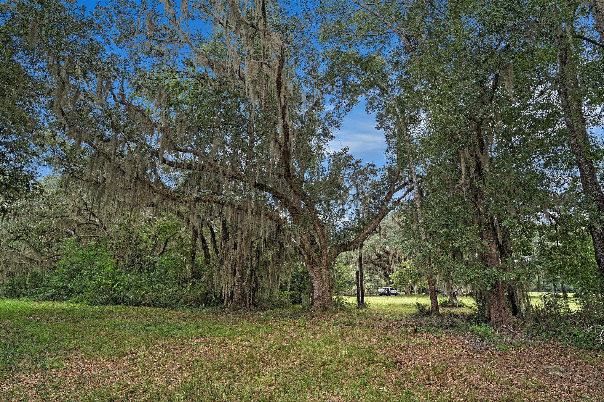 7817 Little Britton Road, Unit LOT C1 Meggett, SC 29449 - Photo 19 of 19 003_dsc05096_504
