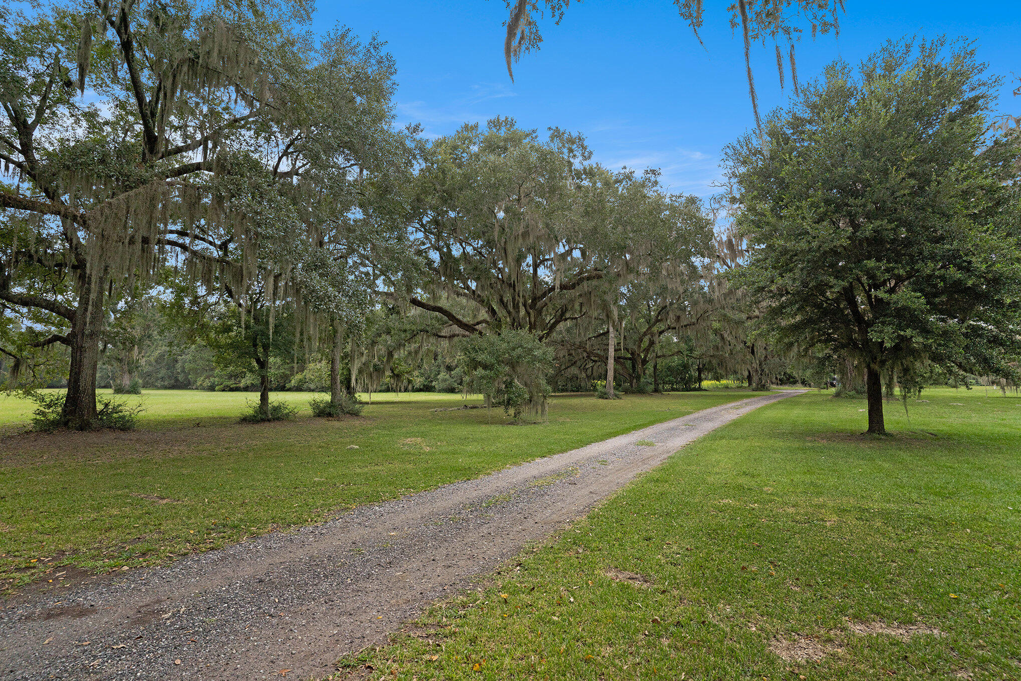 7817 Little Britton Road, Unit LOT C1 Meggett, SC 29449 - Photo 9 of 19 020_dsc05113_597
