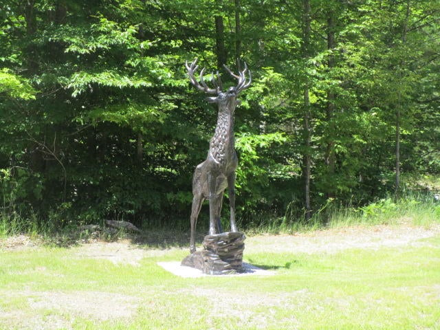 7720 Airport Road Vanderbilt, MI 49795 - Photo 61 of 62 Gallery Image 61