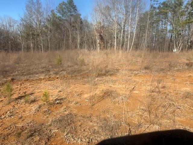 6 Harris Road Bolivar, TN 38008 - Photo 13 of 20 a view of a yard