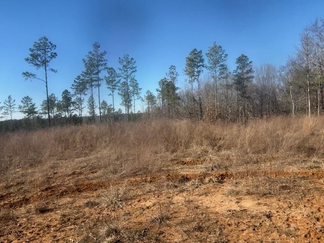 6 Harris Road Bolivar, TN 38008 - Photo 14 of 20 a view of a lake with houses in the background