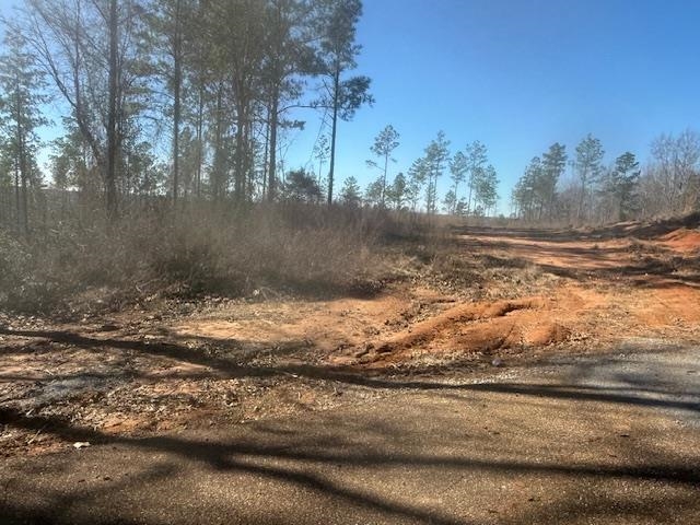 6 Harris Road Bolivar, TN 38008 - Photo 16 of 20 a view of a yard with trees