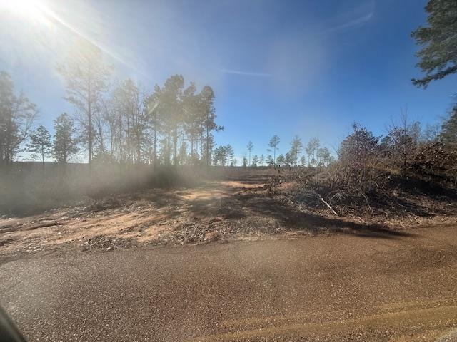6 Harris Road Bolivar, TN 38008 - Photo 17 of 20 a view of dirt field and trees around