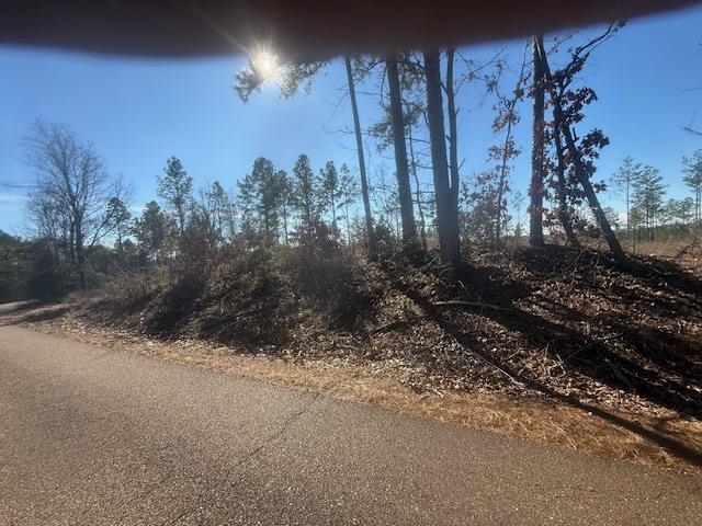 6 Harris Road Bolivar, TN 38008 - Photo 18 of 20 a view of a street with a building in the background