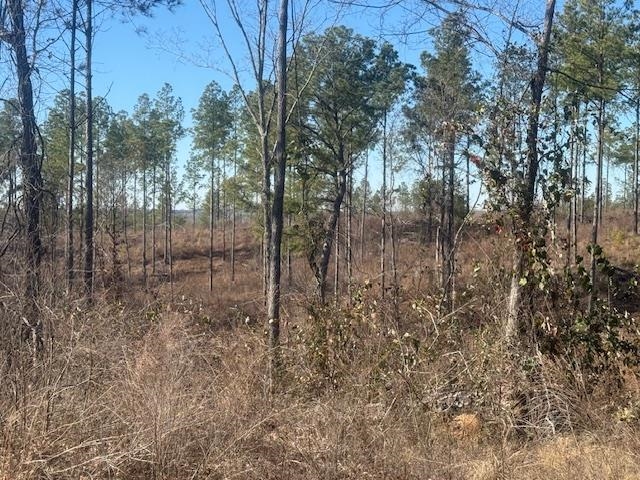 6 Harris Road Bolivar, TN 38008 - Photo 3 of 20 a view of a yard with trees in front of it