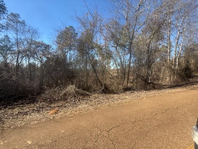 6 Harris Road Bolivar, TN 38008 - Photo 4 of 20 a view of road and trees