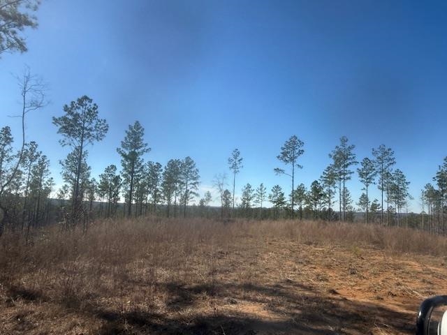 6 Harris Road Bolivar, TN 38008 - Photo 6 of 20 a view of lake