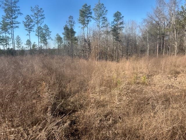 6 Harris Road Bolivar, TN 38008 - Photo 9 of 20 a view of a lake with lots of trees