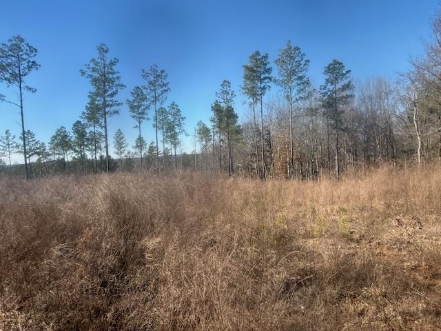 6 Harris Road Bolivar, TN 38008 - Photo 10 of 20 a view of a lake