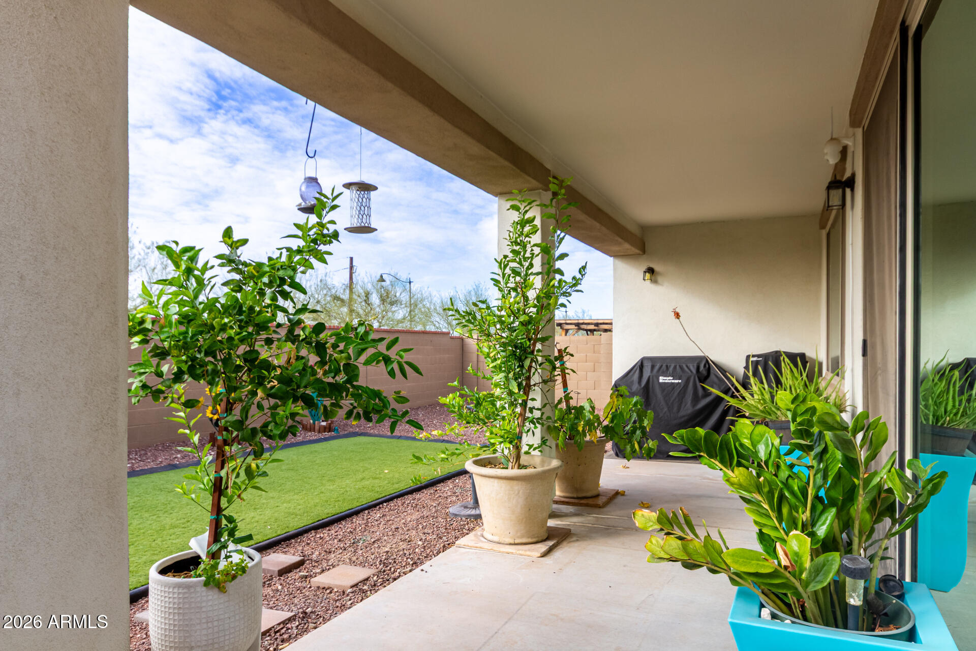 21057 West Almeria Road Buckeye, AZ 85396 - Photo 25 of 49 a view of a backyard with plants