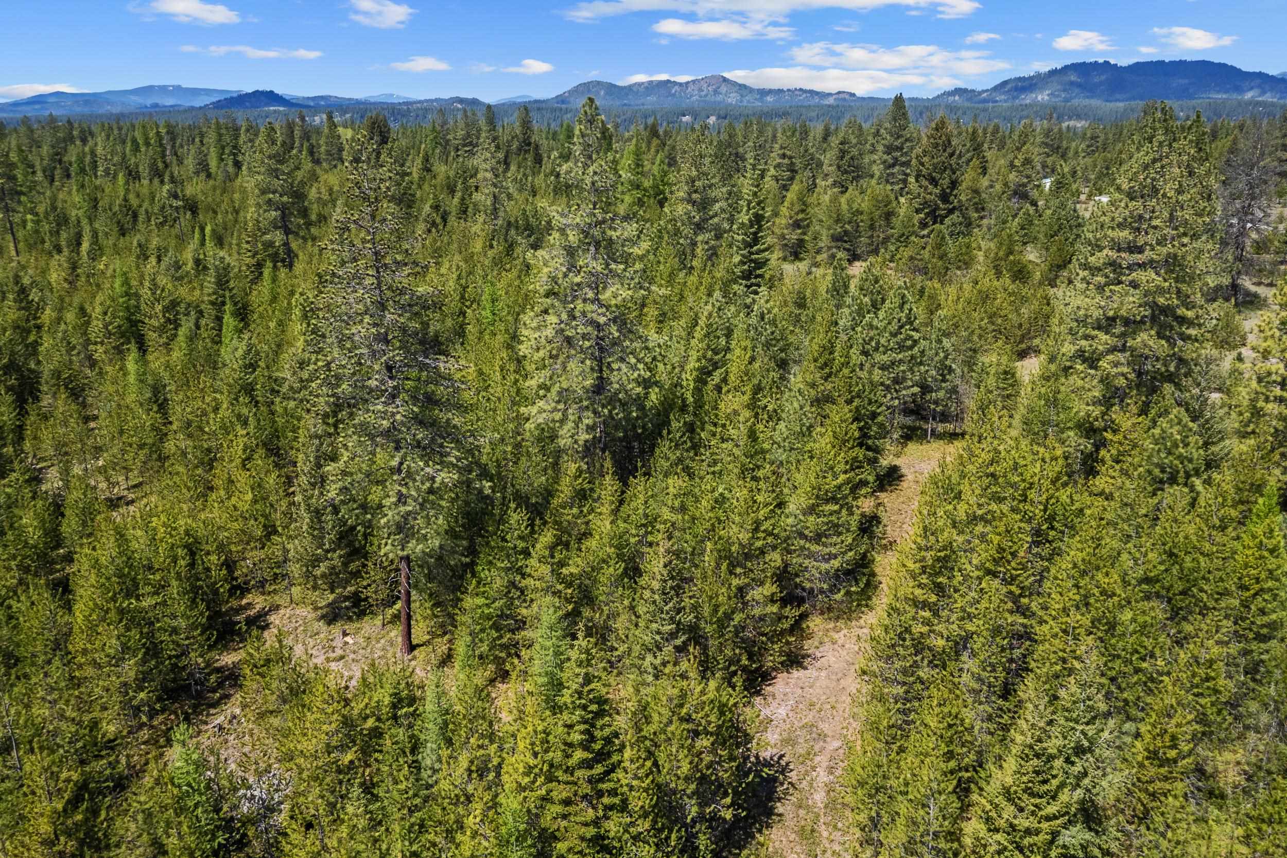 331 North State Line Road Newport, WA 99156 - Photo 17 of 22 Gallery Image 17