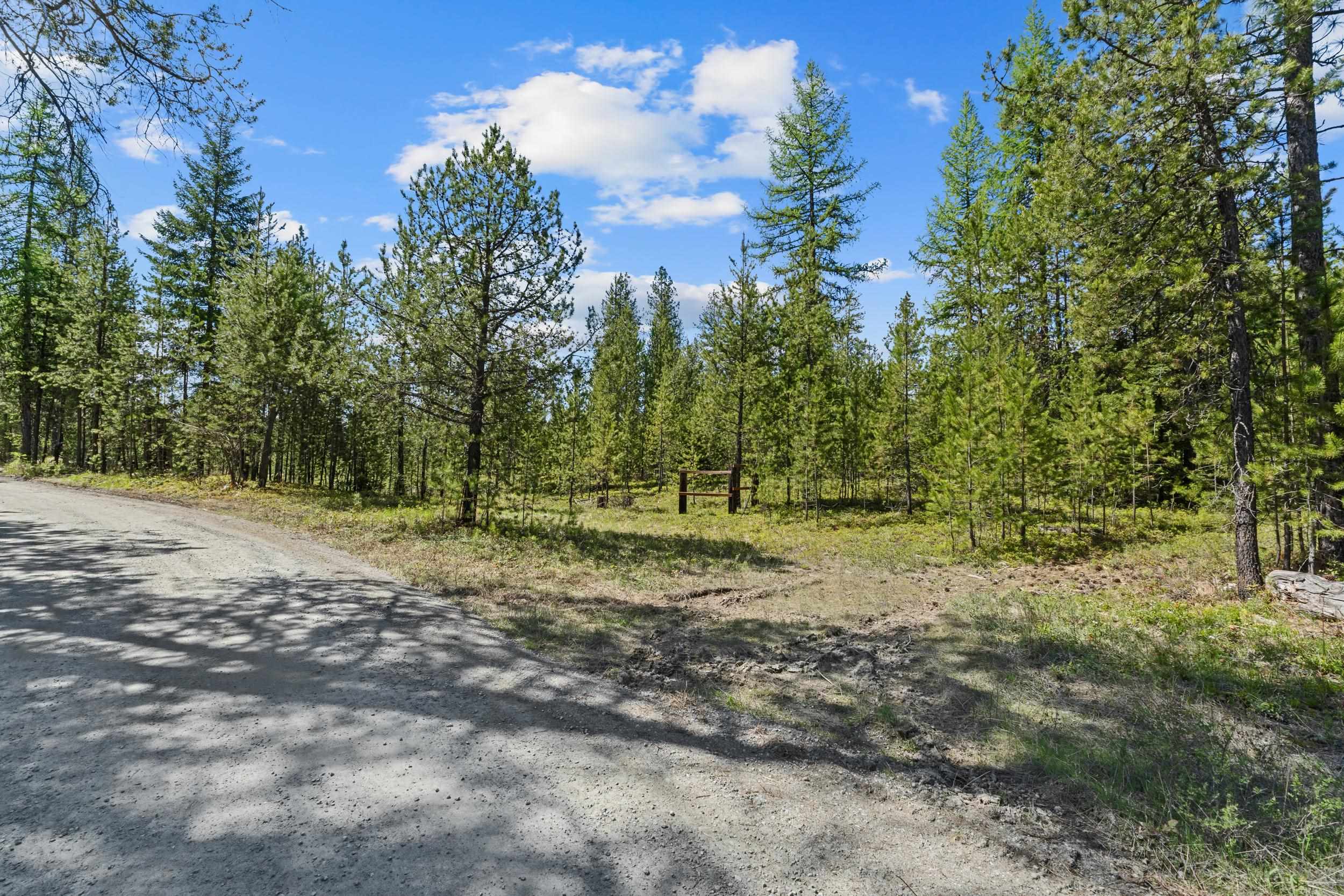 331 North State Line Road Newport, WA 99156 - Photo 5 of 22 Gallery Image 5