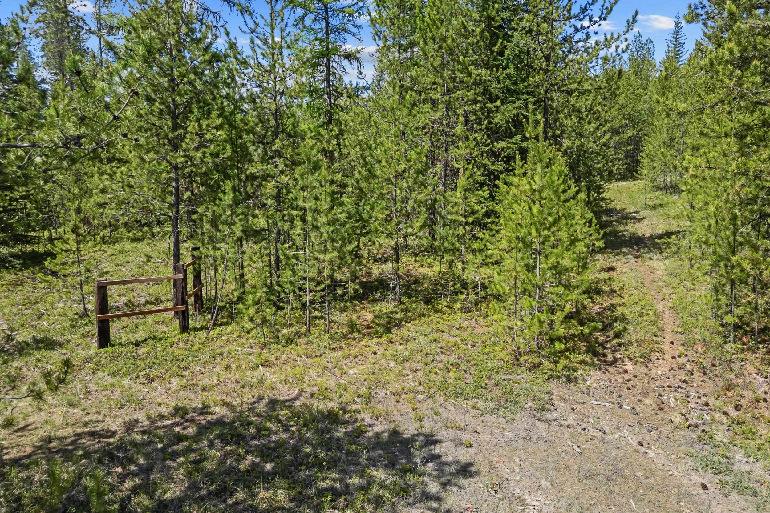 331 North State Line Road Newport, WA 99156 - Photo 7 of 22 Gallery Image 7