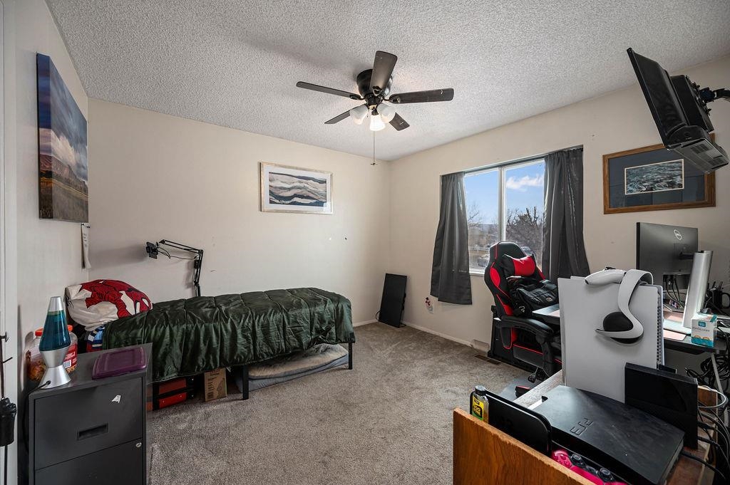 2534 Walnut Avenue Grand Junction, CO 81501 - Photo 15 of 30