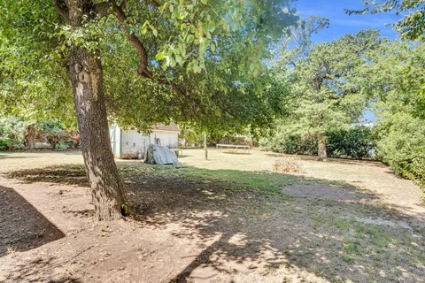 a view of a yard with plants and trees