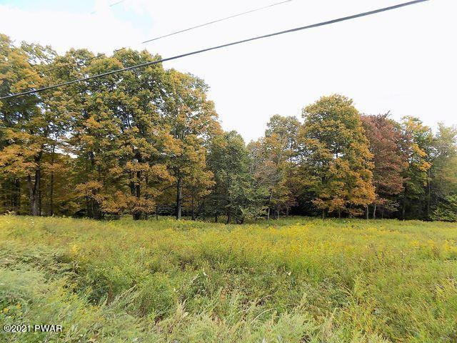 196 & 507 Newfoundland, PA 18445 - Photo 4 of 7