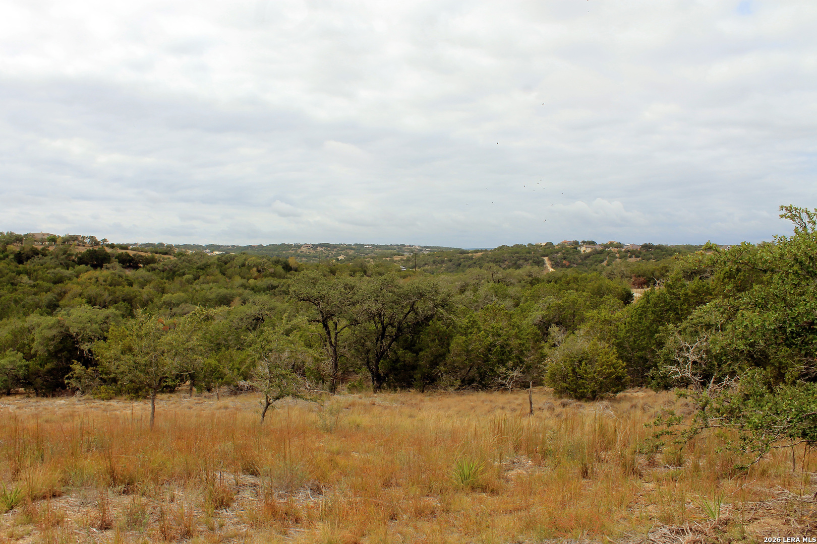 291 Star Grass Spring Branch, TX 78070 - Photo 8 of 8